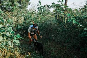 BIB: 
                            <button type="button" onclick="openModal(25658182)" class="btn btn-primary btn-sm float-right btn-popup" data-toggle="modal" data-target=".modal-high-quality">
                        <i class="fas fa-shopping-cart"></i> Add to Cart
                    </button>
                                            <button type="button" onclick="isThisMe(25658182, true)" class="btn btn-success btn-sm float-right btn-popup btn-isme hidden" data-toggle="tooltip" data-placement="bottom" title="นี่คือรูปของคุณใช่ไหม คลิกที่นี่เพื่อเอาเข้าอัลบั้ม">
                        <i class="fas fa-plus"></i> Add to album
                    </button>
                    <button type="button" onclick="isThisMe(25658182, false)" class="btn btn-warning btn-sm float-right btn-popup btn-isnotme hidden">
                        <i class="fas fa-ban"></i> Remove from album
                    </button>